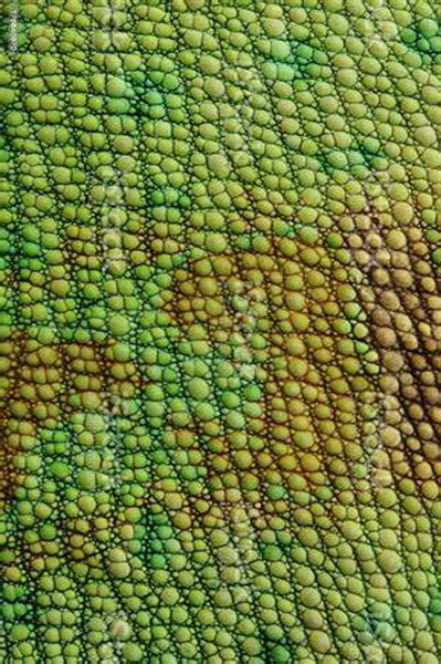 Lizard Skins manufacturer